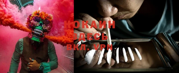 spice Алексин