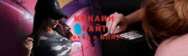 spice Алексин