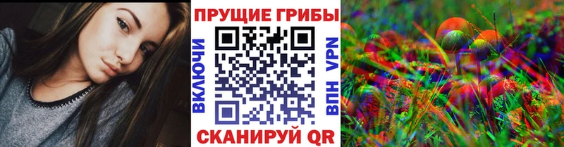 как найти   Протвино  Галлюциногенные грибы мухоморы 